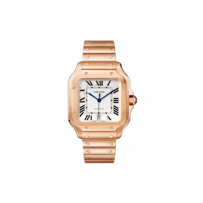 CARTIER SANTOS DE WATCH WGSA0018